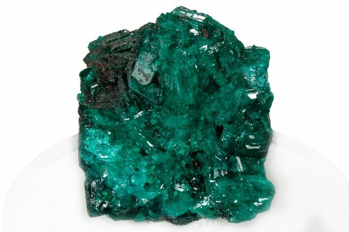 Lustrous Dioptase Crystal Cluster - Congo #304336